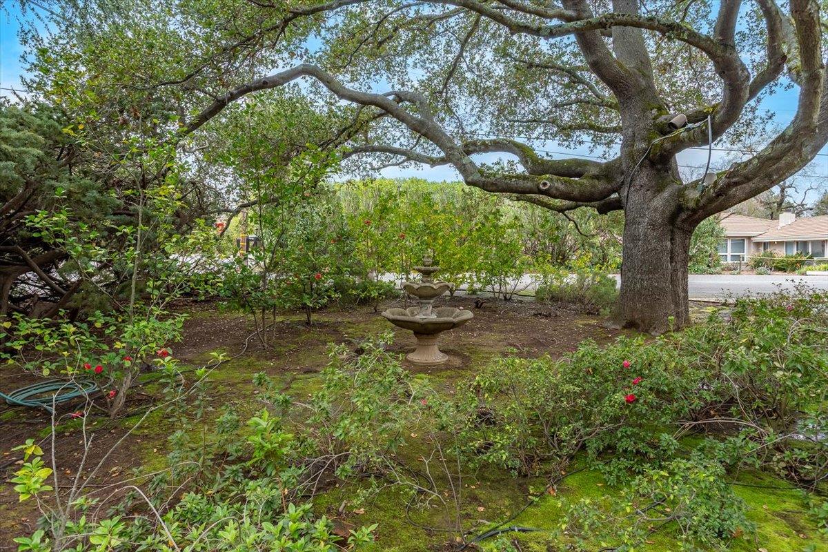 19401 San Marcos Road Saratoga, CA 95070 - Photo 40 of 59