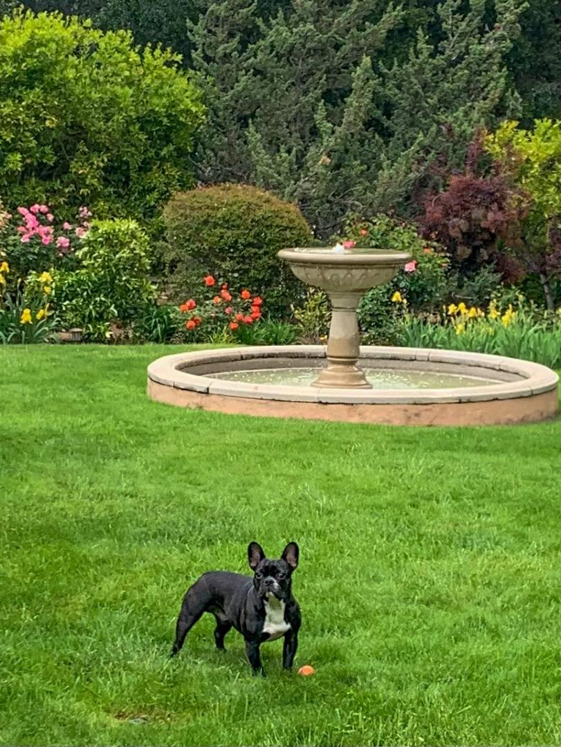 19401 San Marcos Road Saratoga, CA 95070 - Photo 46 of 59