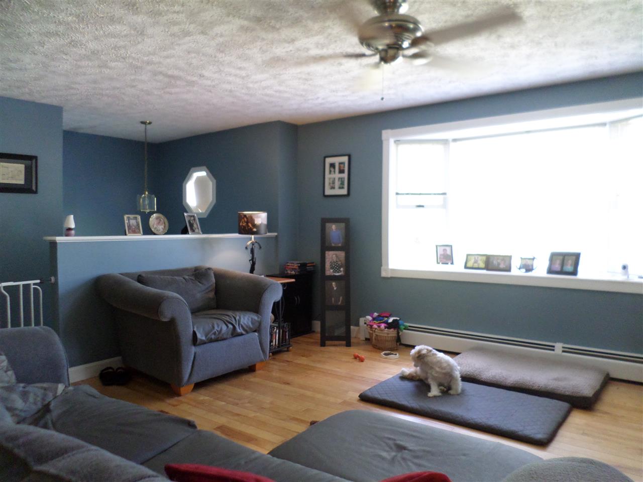 8 Springtree Lane South Berwick, ME 03908 - Photo 2 of 20 Gallery Image 2