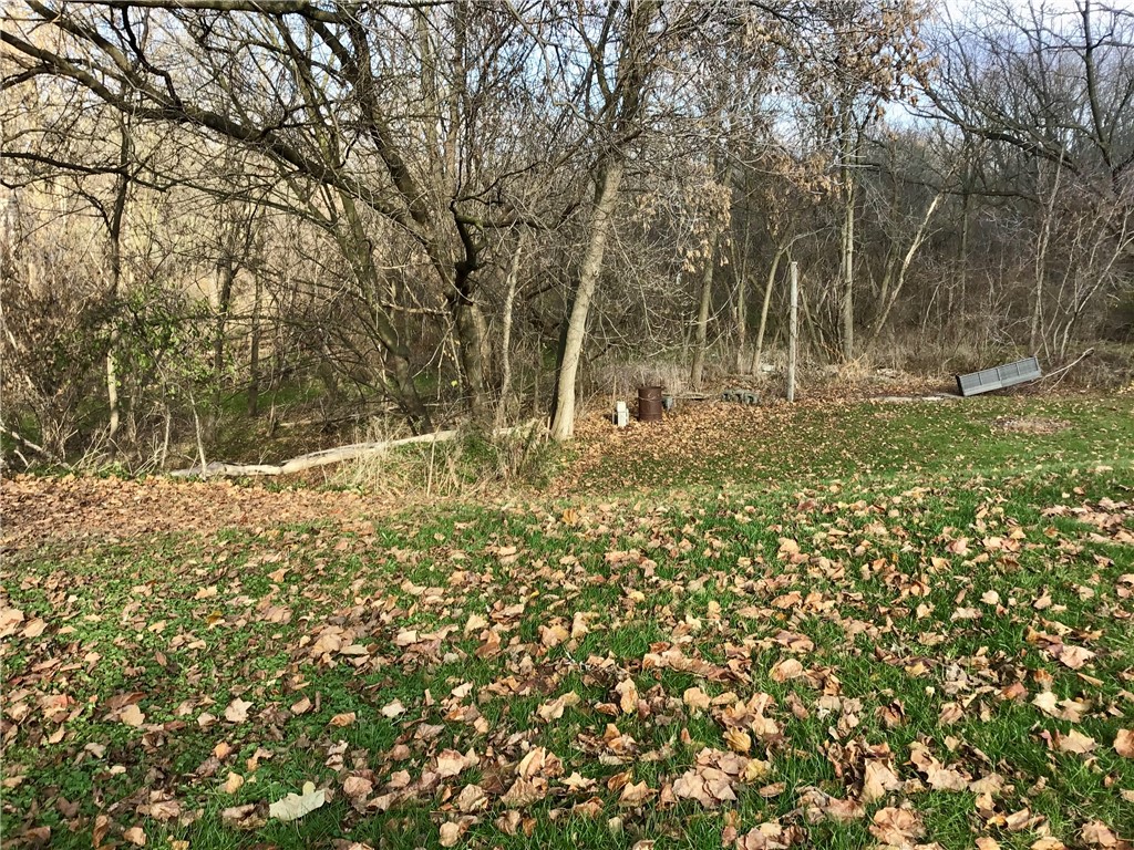 6969 Big Tree Road Pavilion, NY 14525 - Photo 9 of 9