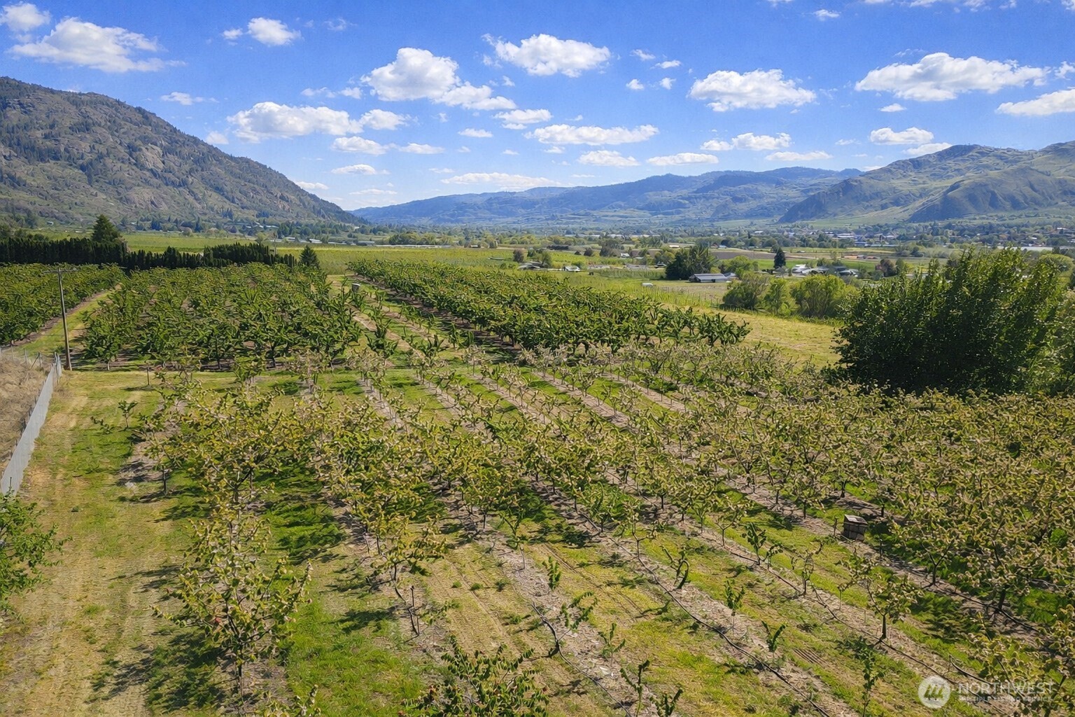 82-tbd Eastlake Road Oroville, WA 98844 - Photo 3 of 6 a view of a lake with a mountain in the background