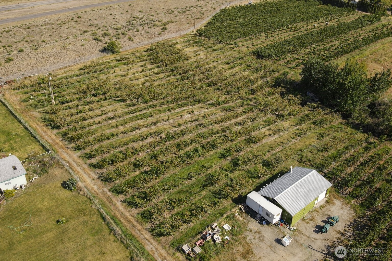 82-tbd Eastlake Road Oroville, WA 98844 - Photo 4 of 6 a view of a yard