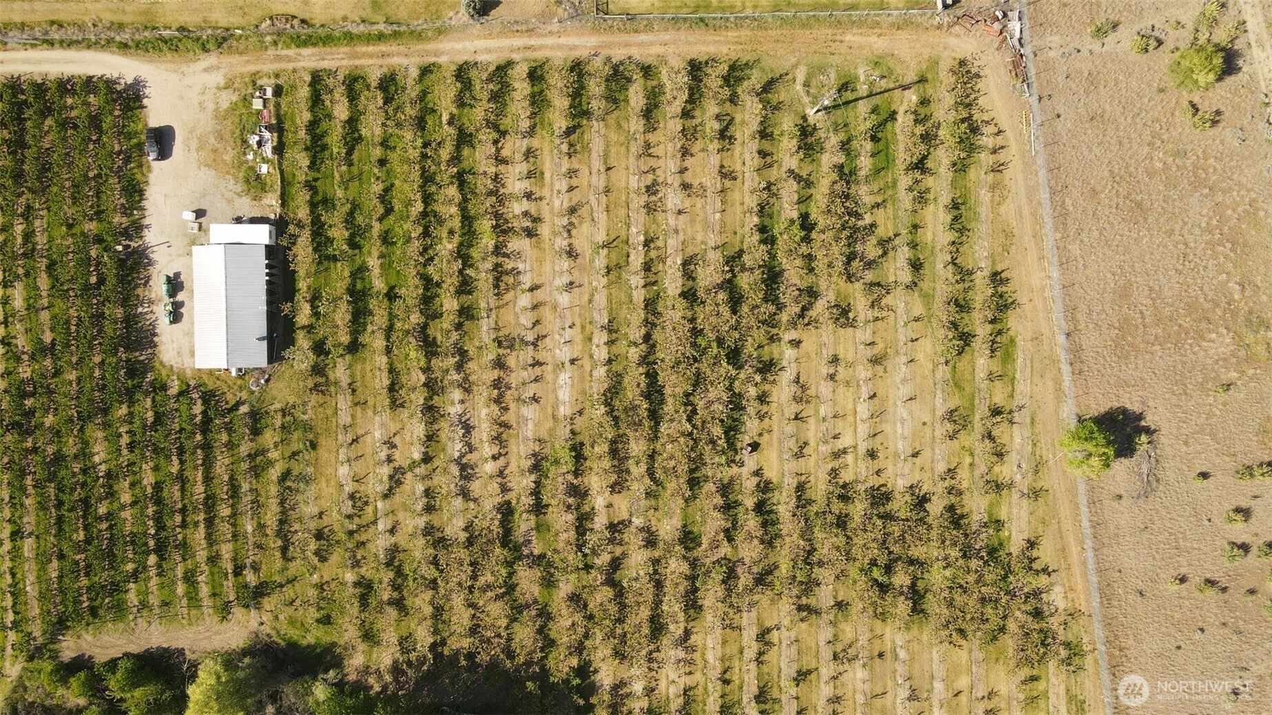 82-tbd Eastlake Road Oroville, WA 98844 - Photo 6 of 6 a bathroom with a shower curtain