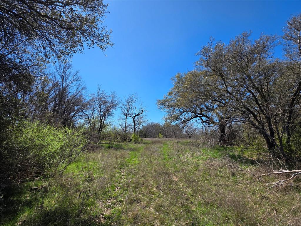 309 Highway 36 Gustine, TX 76455 - Photo 13 of 36 a backyard of a house with lots of green space