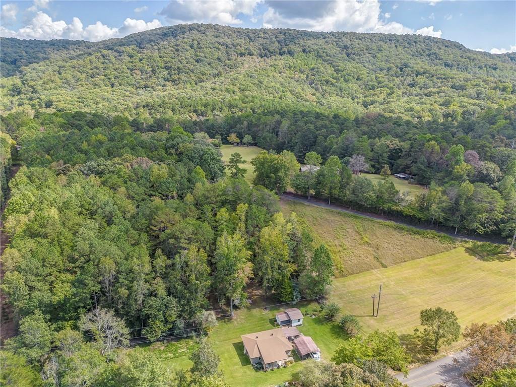 1525 Sloppy Floyd Lake Road Summerville, GA 30747 - Photo 14 of 16 a view of a forest with a sink and a yard