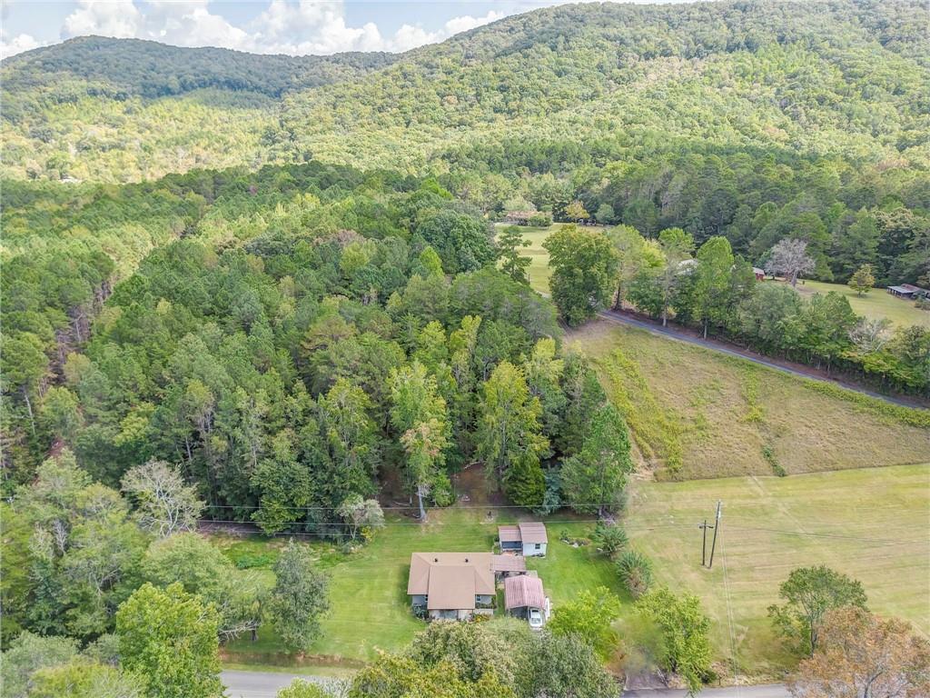 1525 Sloppy Floyd Lake Road Summerville, GA 30747 - Photo 15 of 16 a view of an outdoor space and a lake view