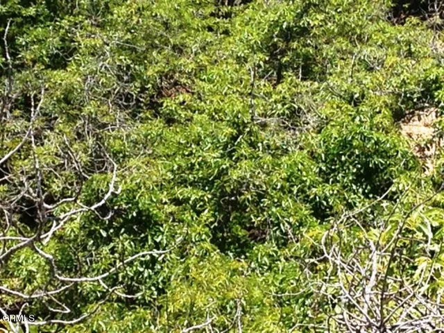 $499,000 | 1678 Buena Vista Street, Ventura, CA 93001