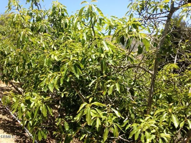 $499,000 | 1678 Buena Vista Street, Ventura, CA 93001