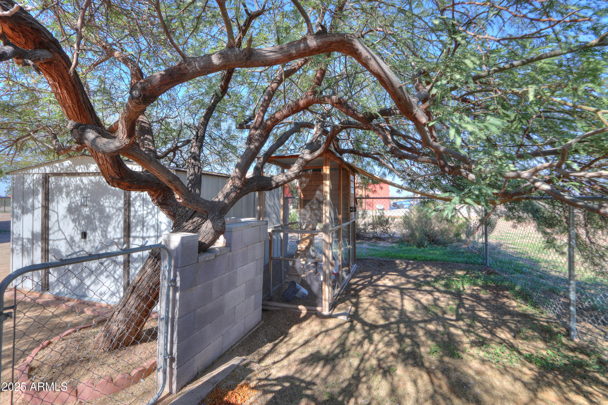 53304 West Barnes Road Maricopa, AZ 85139 - Photo 60 of 75 a backyard of a house with lots of green space