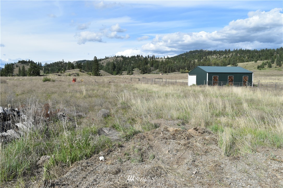 38 Goa Way Republic, WA 99166 - Photo 19 of 34