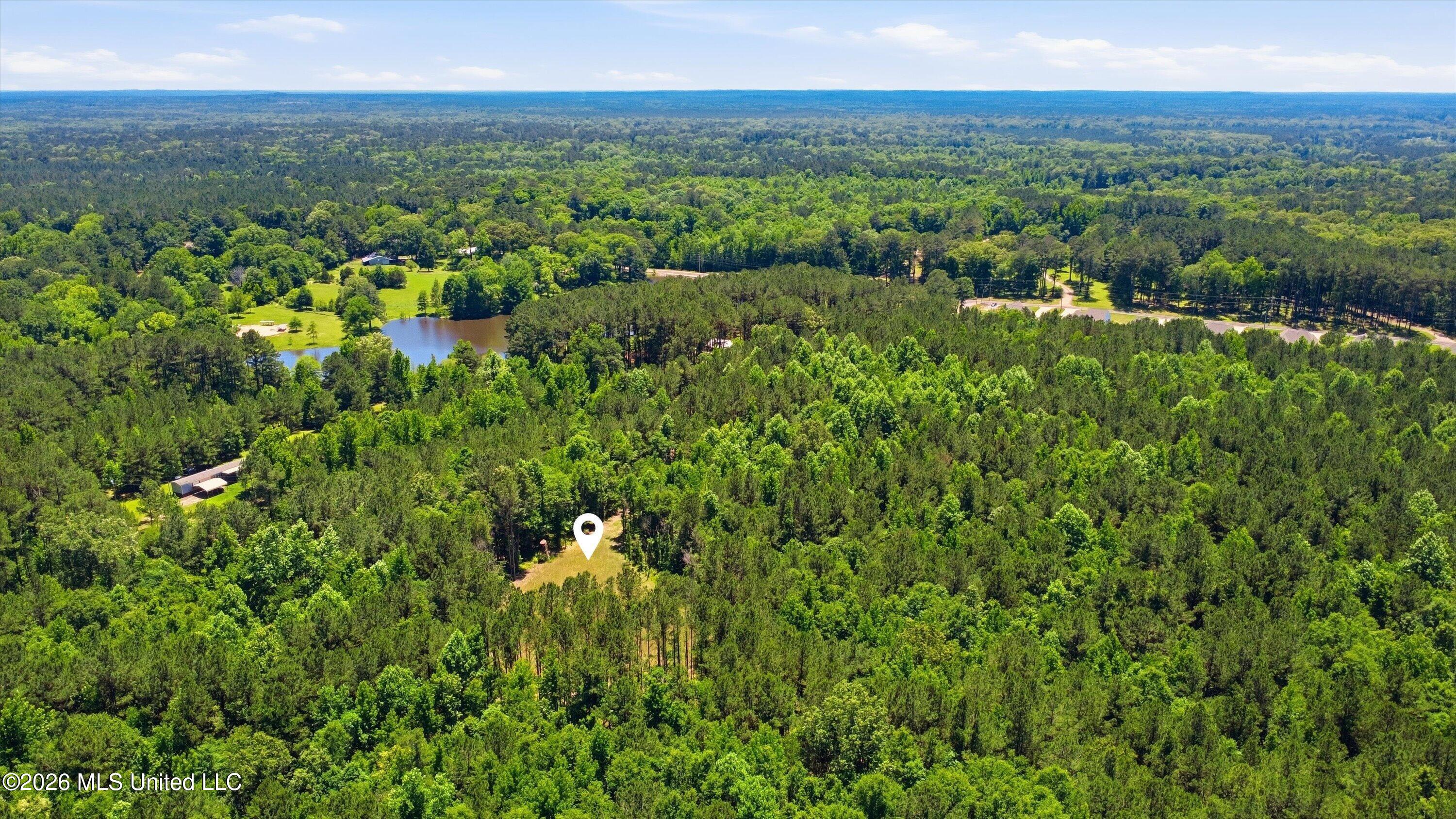 Lake Road Brandon, MS 39042 - Photo 11 of 19 11-Old_Lake_Rd_Drone_011