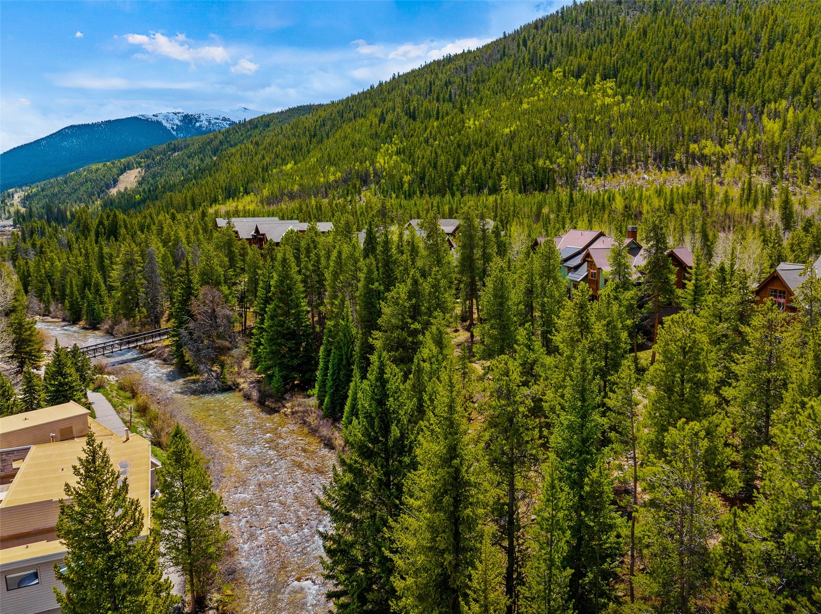57 Lake Ridge Circle, Unit 1848 Keystone, CO 80435 - Photo 48 of 49 a view of a yard with plants and large trees