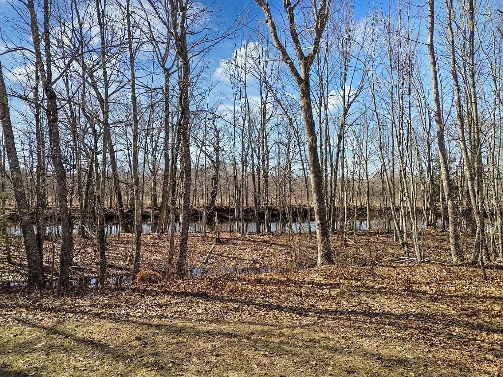 76 Wesley Road Unity, ME 04988 - Photo 36 of 42 Backyard