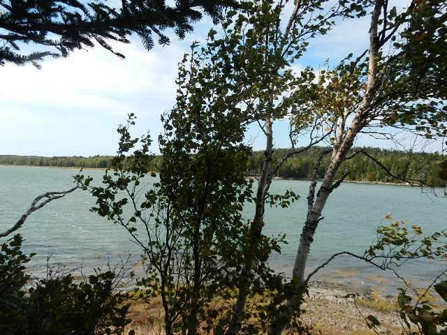 536 Grand Marsh Bay Road Corea, ME 04624 - Photo 19 of 34 Photo