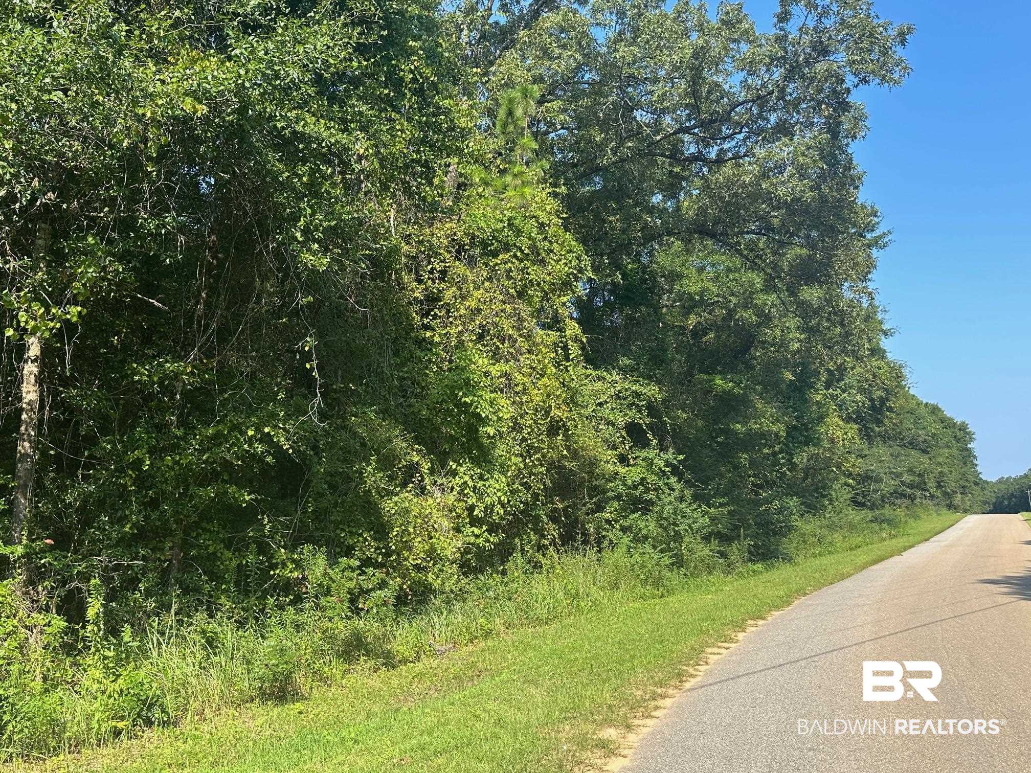 0 Danner Road East Wilmer, AL 36587 - Photo 4 of 13 View of asphalt street featuring a wooded view