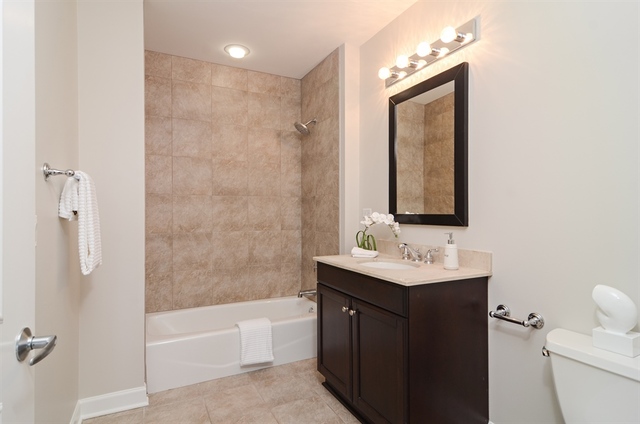 1211 South Prairie Avenue, Unit 705 Chicago, IL 60605 - Photo 12 of 17