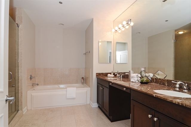 1211 South Prairie Avenue, Unit 705 Chicago, IL 60605 - Photo 10 of 17