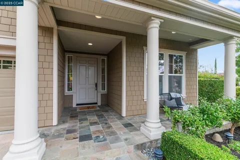 a view of a garden with a bench and trees