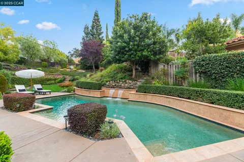a view of a garden with a tree