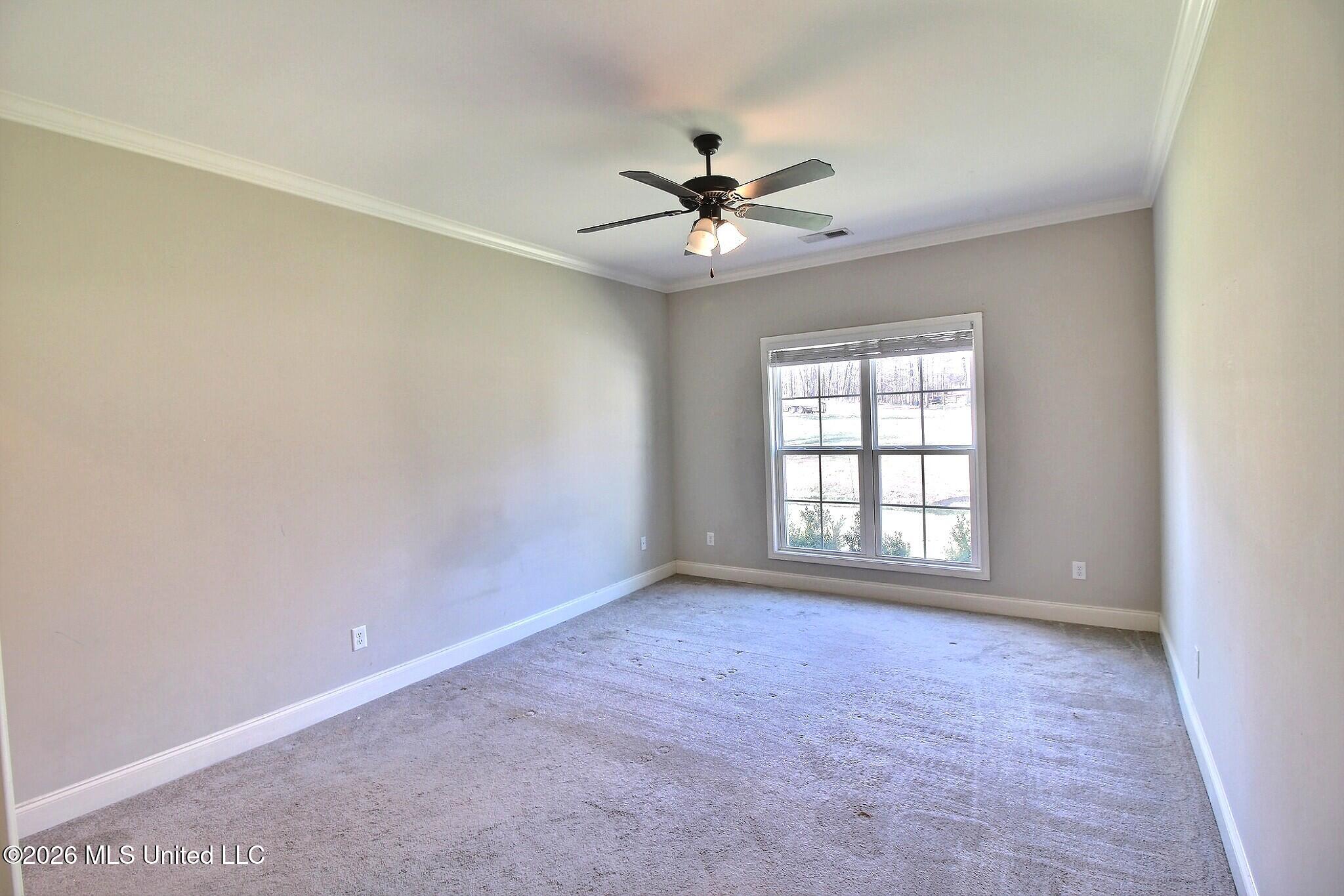 4722 Alexander Road Olive Branch, MS 38654 - Photo 11 of 18 Primary Bedroom Down