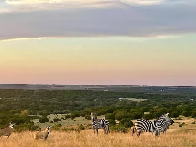 a view of city and ocean