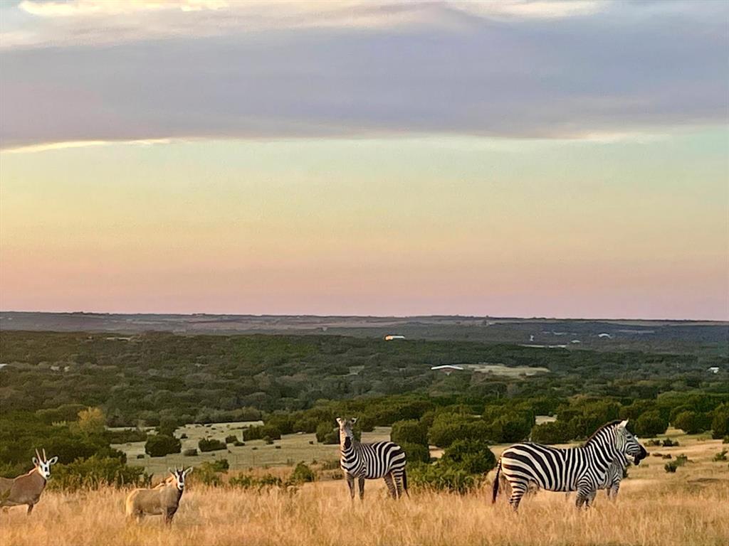 a view of city and ocean
