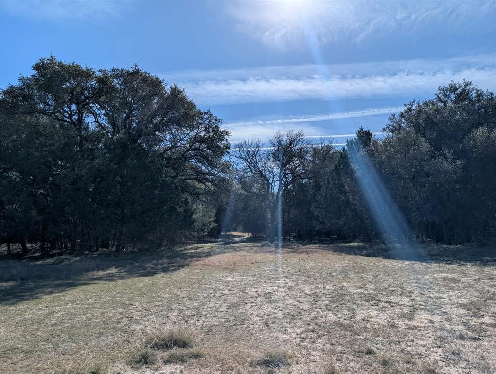 2 County Road 208 Lampasas, TX 76550 - Photo 14 of 30 a view of backyard with green space