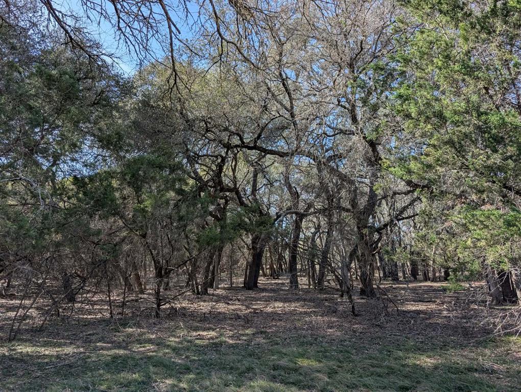2 County Road 208 Lampasas, TX 76550 - Photo 16 of 30 a view of dirt yard with a trees