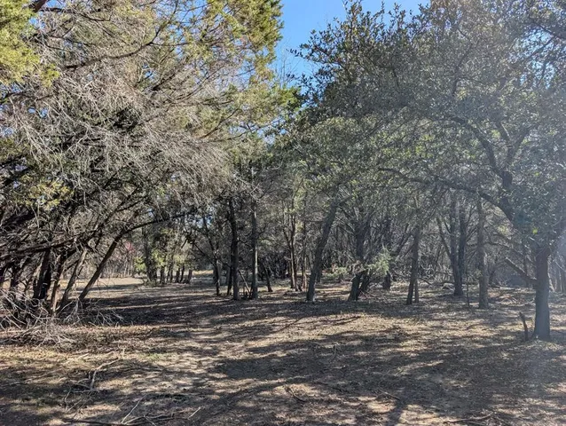 a view of dirt field with trees