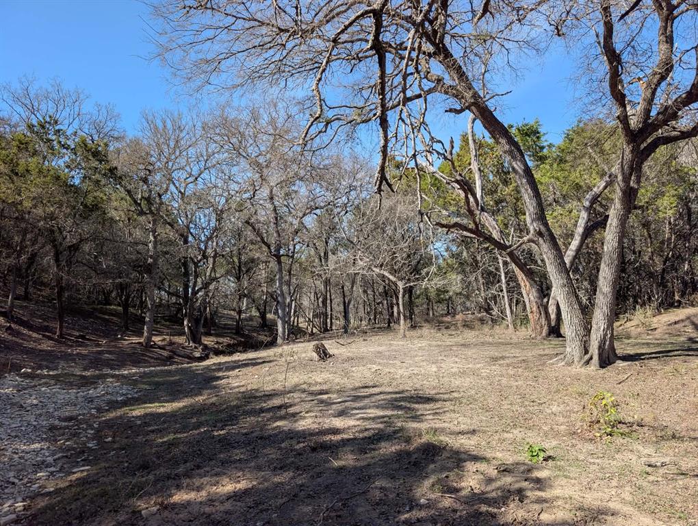 2 County Road 208 Lampasas, TX 76550 - Photo 19 of 30 a view of dirt field with trees