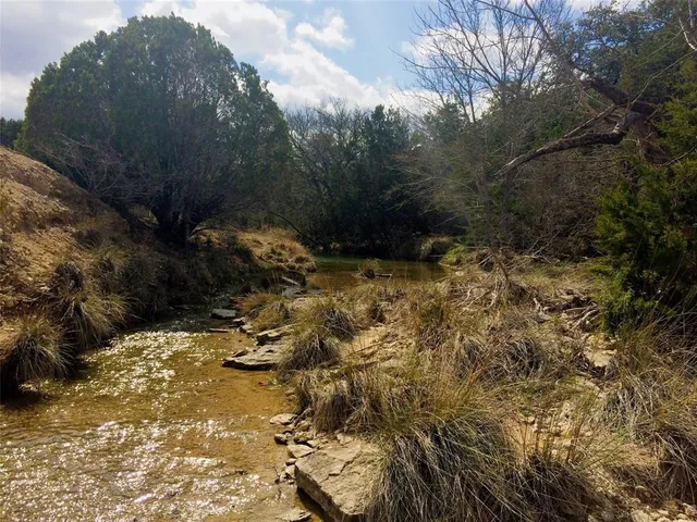 a view of a lake in middle of forest