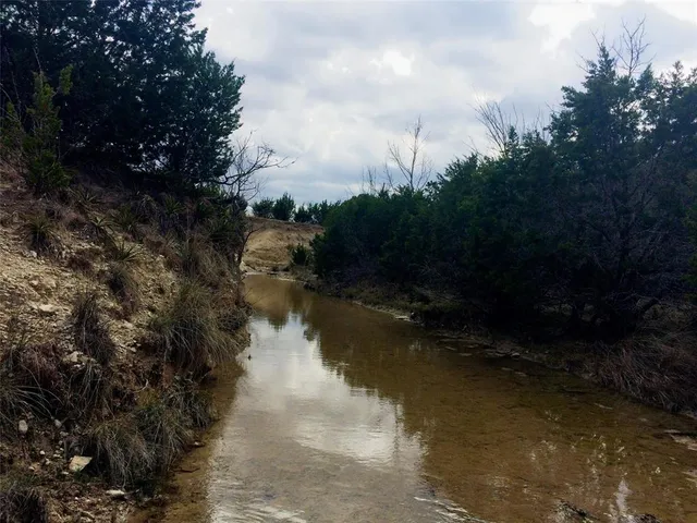 a view of a yard with trees