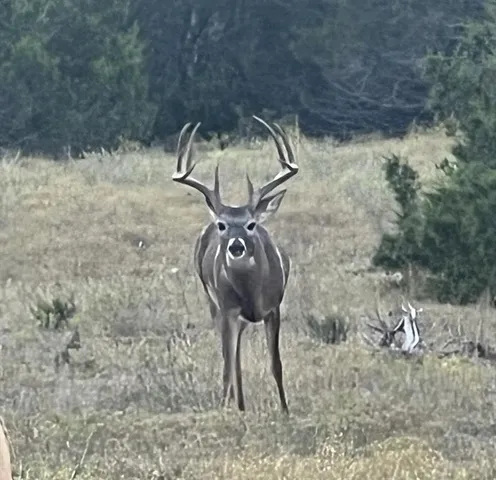 $4,140,000 | 2 County Road 208, Lampasas, TX 76550
