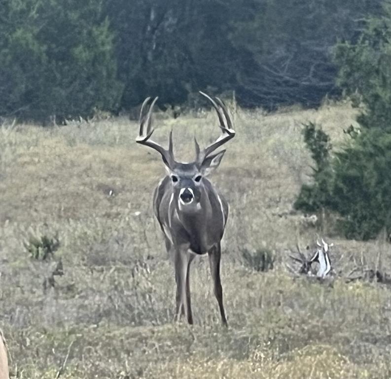 2 County Road 208 Lampasas, TX 76550 - Photo 28 of 30 a view of a fireplace