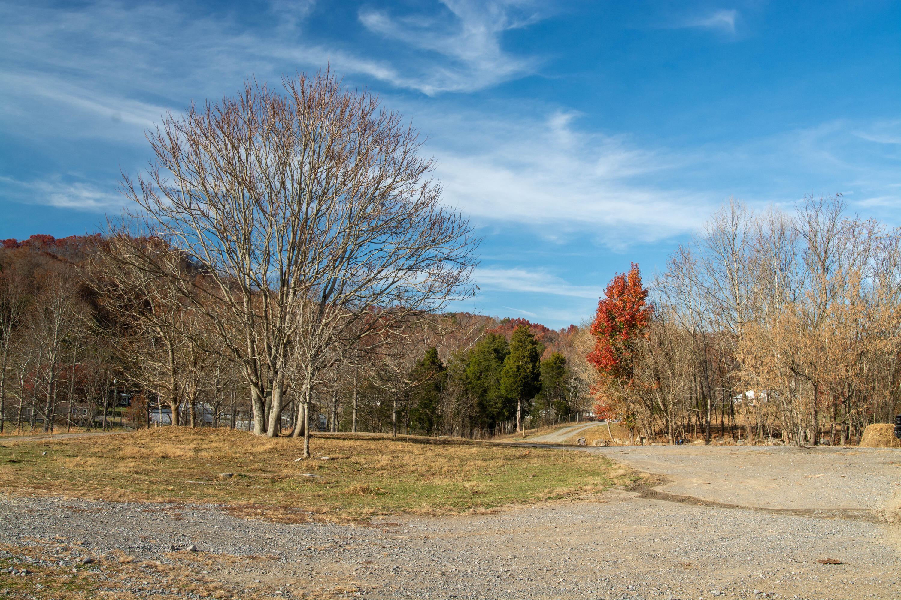 309 Buncombe Road Blountville, TN 37617 - Photo 13 of 31 DSC_6708