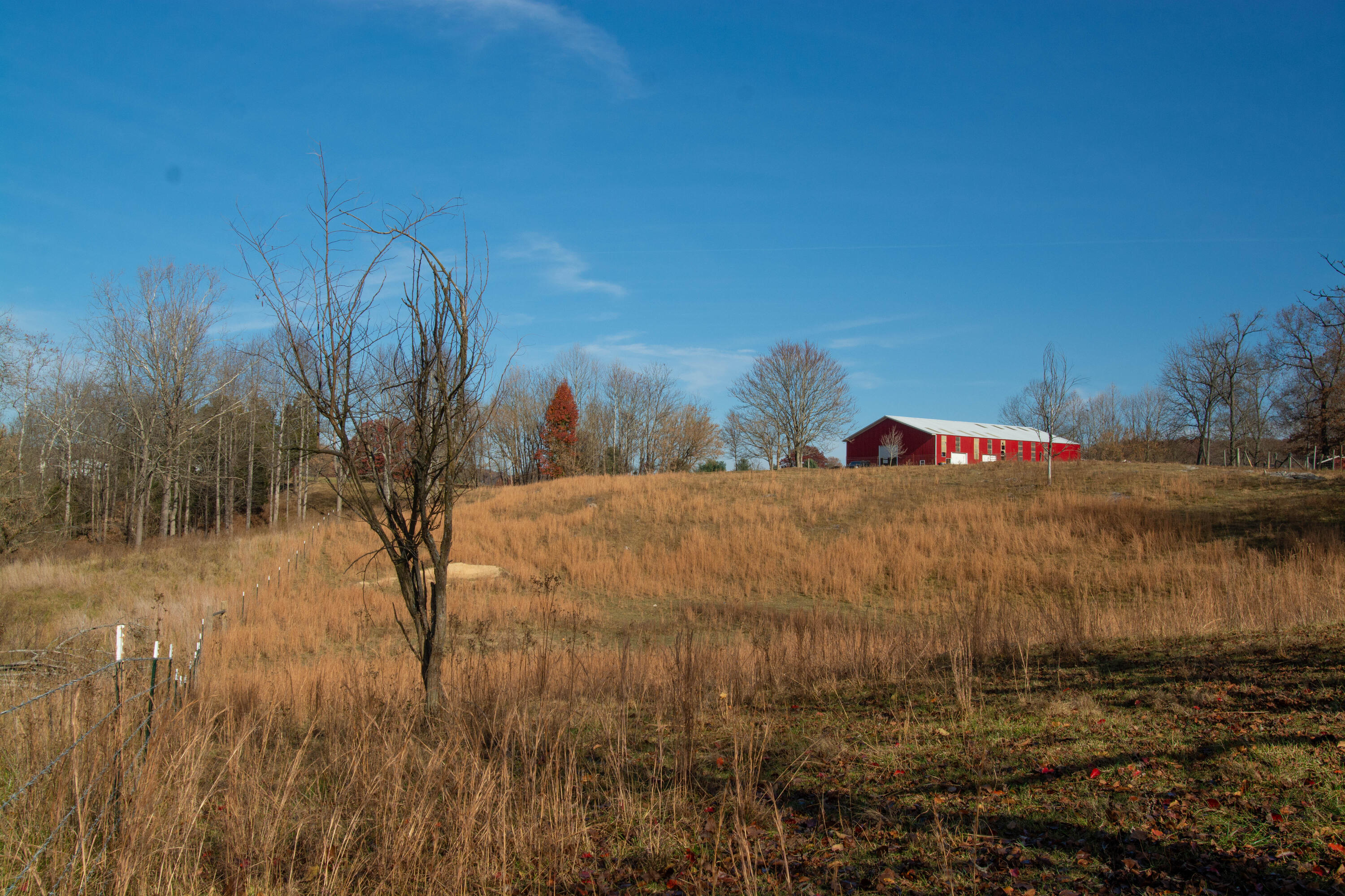 309 Buncombe Road Blountville, TN 37617 - Photo 24 of 31 DSC_6633