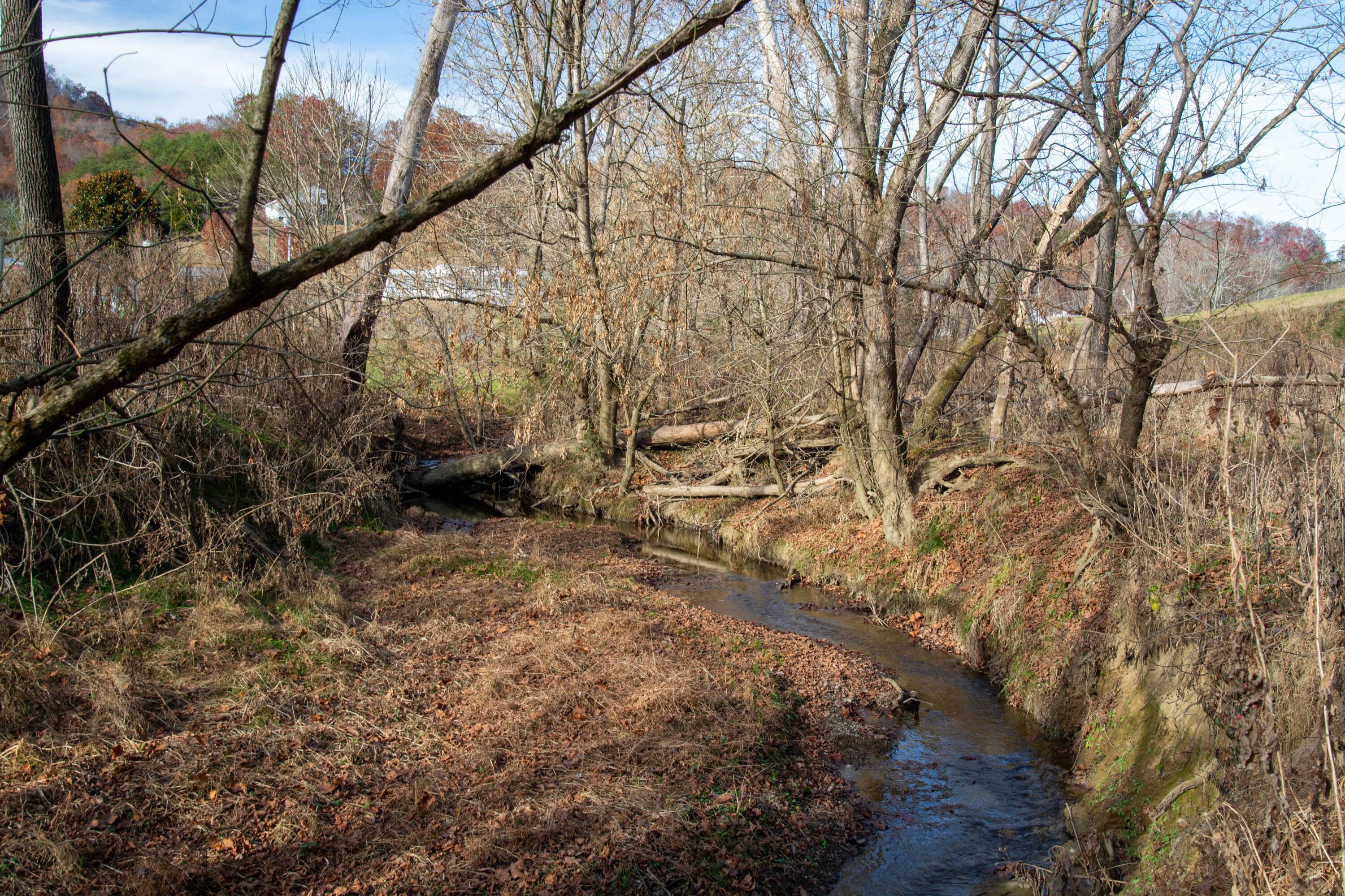 309 Buncombe Road Blountville, TN 37617 - Photo 25 of 31 DSC_6661