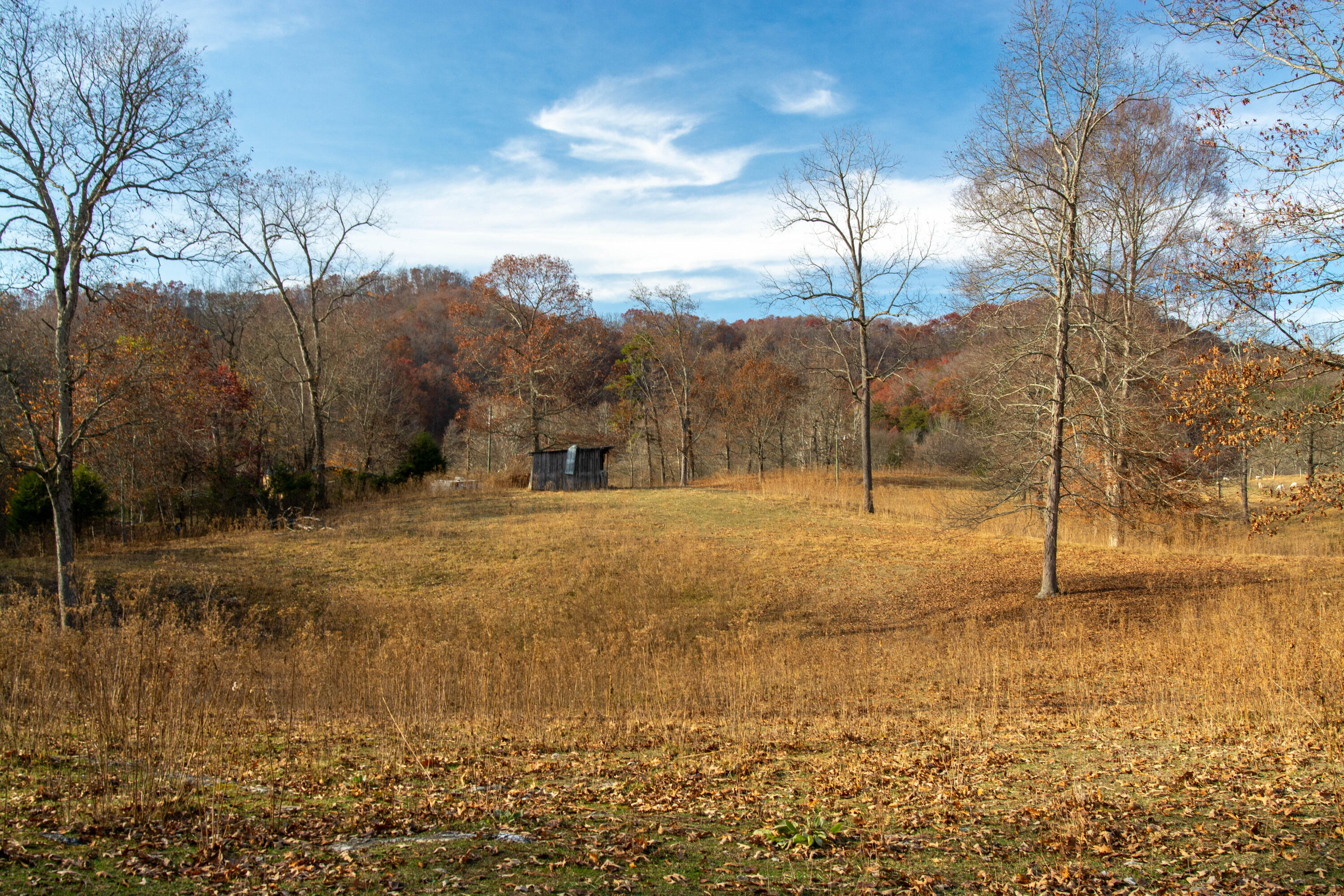 309 Buncombe Road Blountville, TN 37617 - Photo 30 of 31 DSC_6690