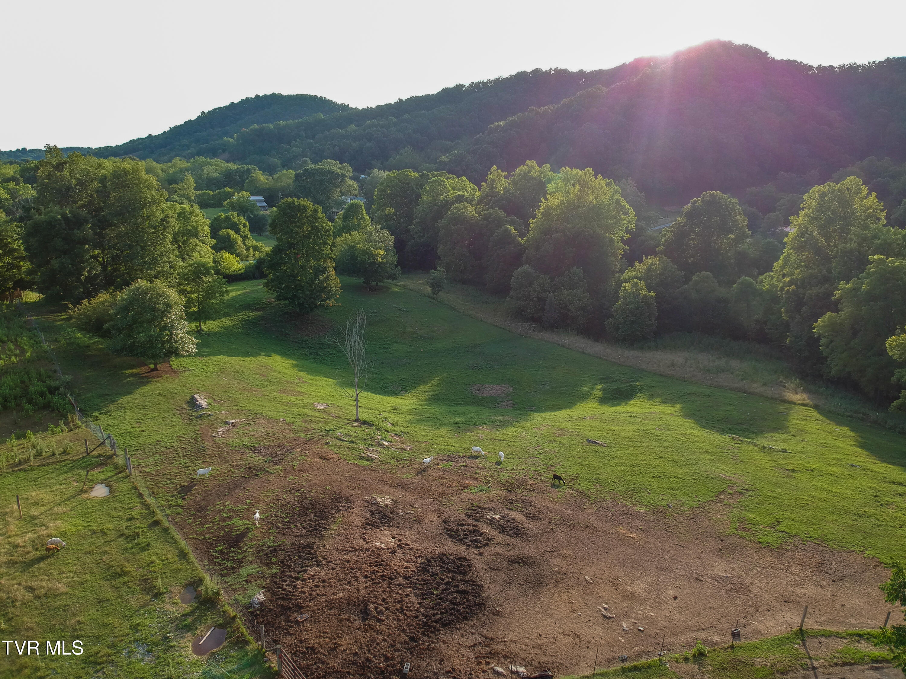 309 Buncombe Road Blountville, TN 37617 - Photo 4 of 31 DJI_0318