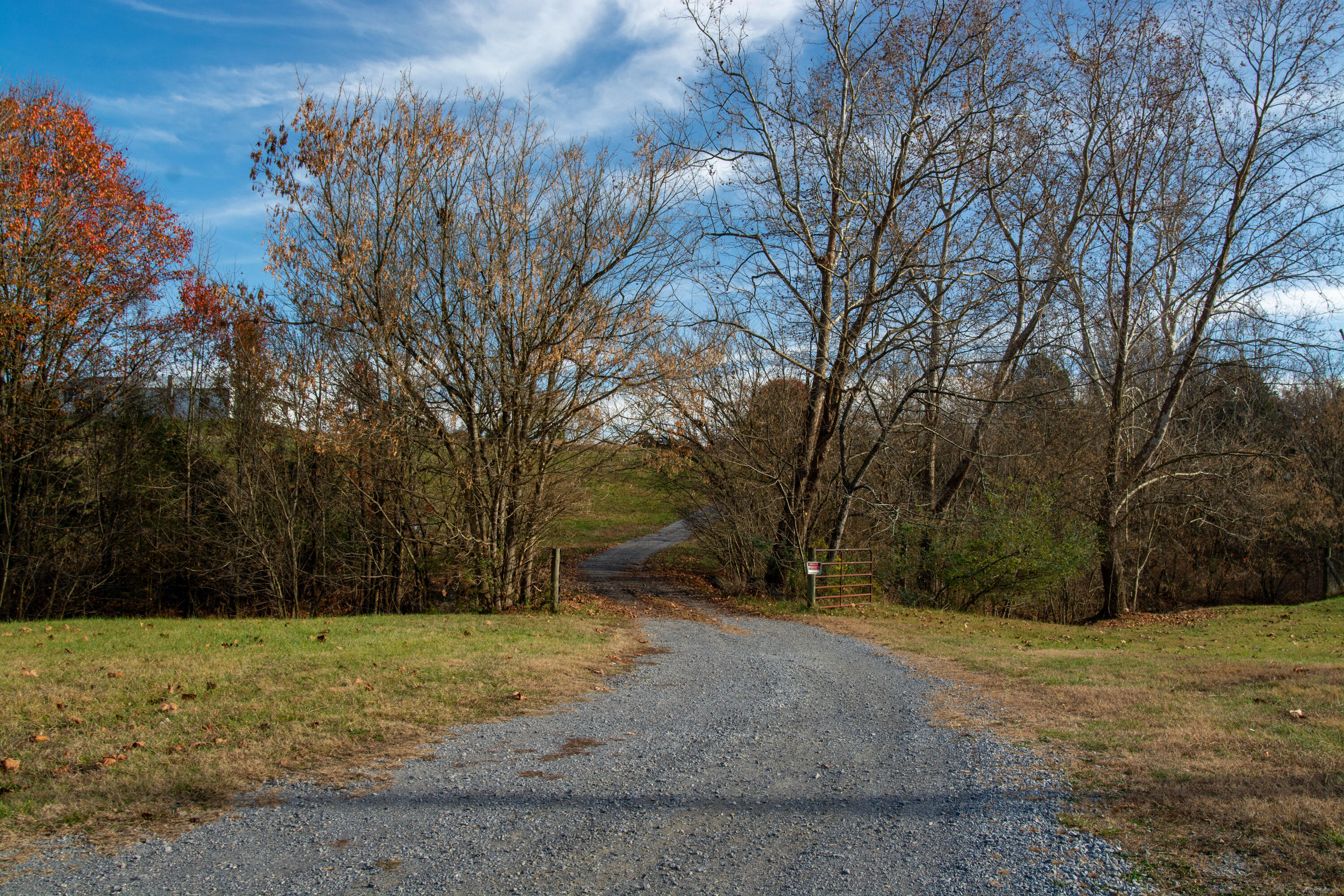 309 Buncombe Road Blountville, TN 37617 - Photo 9 of 31 DSC_6671
