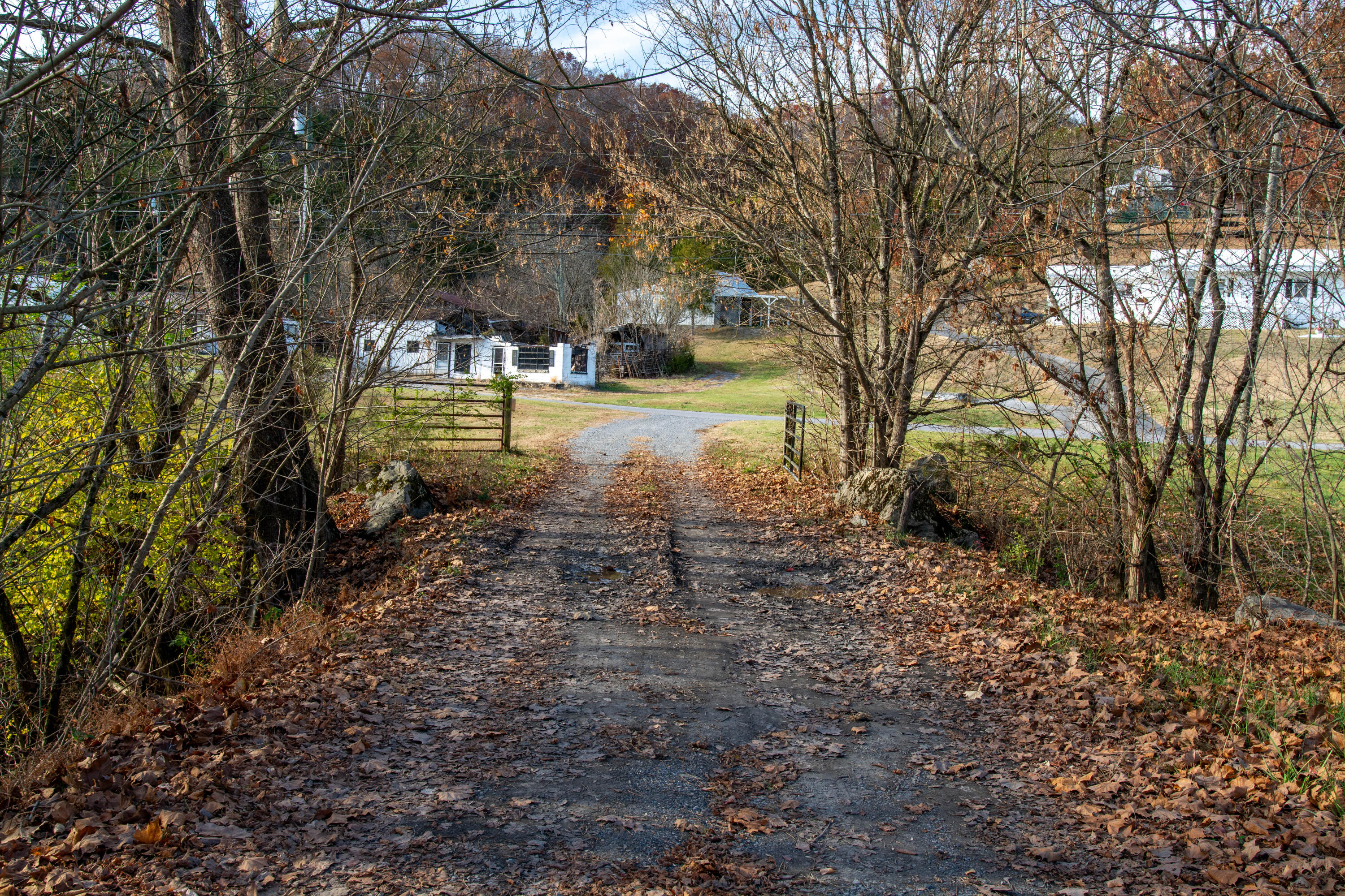309 Buncombe Road Blountville, TN 37617 - Photo 10 of 31 DSC_6666