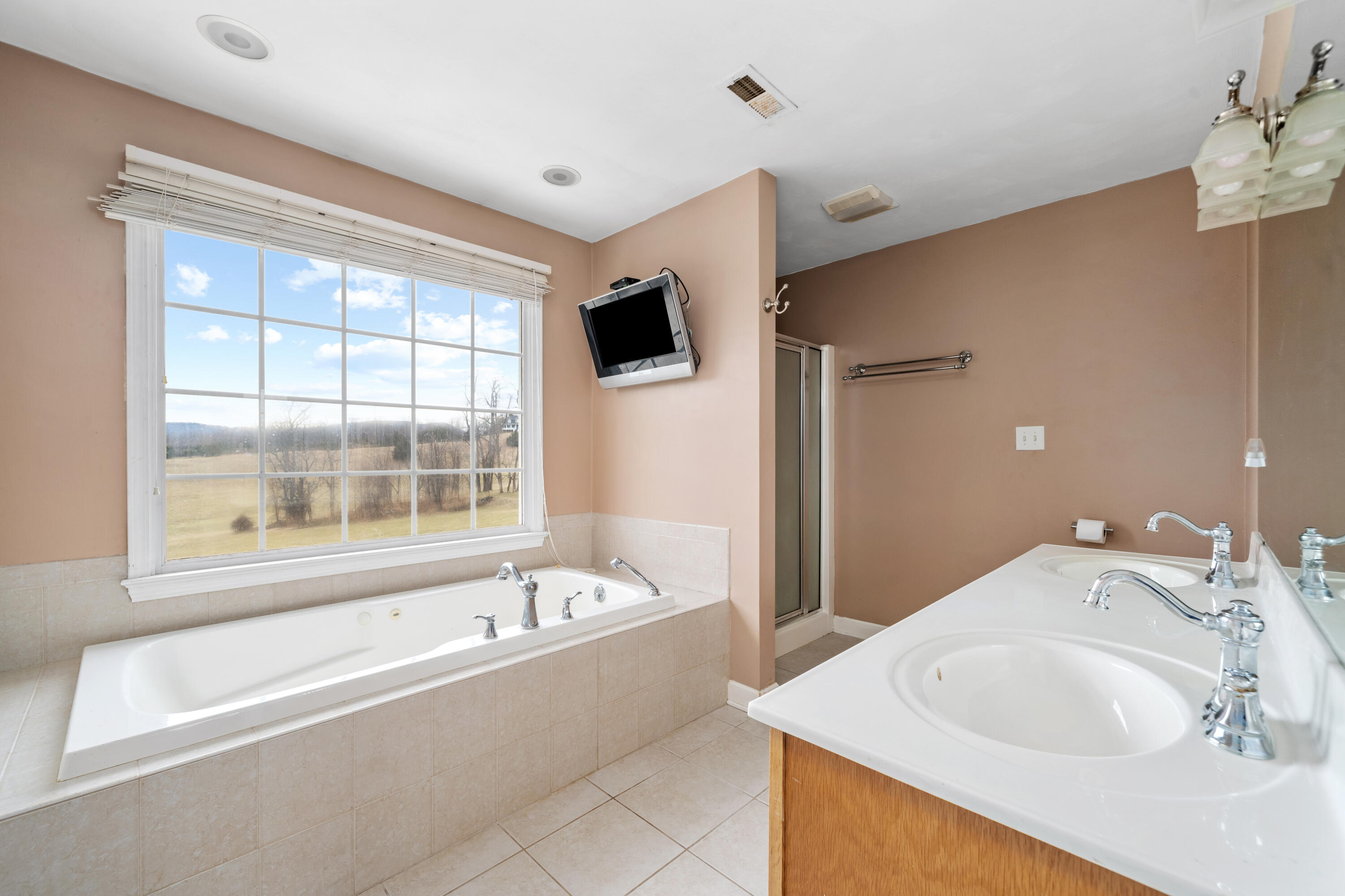 765 Country Club Road Troutville, VA 24175 - Photo 19 of 29 a bathroom with a bathtub and a sink
