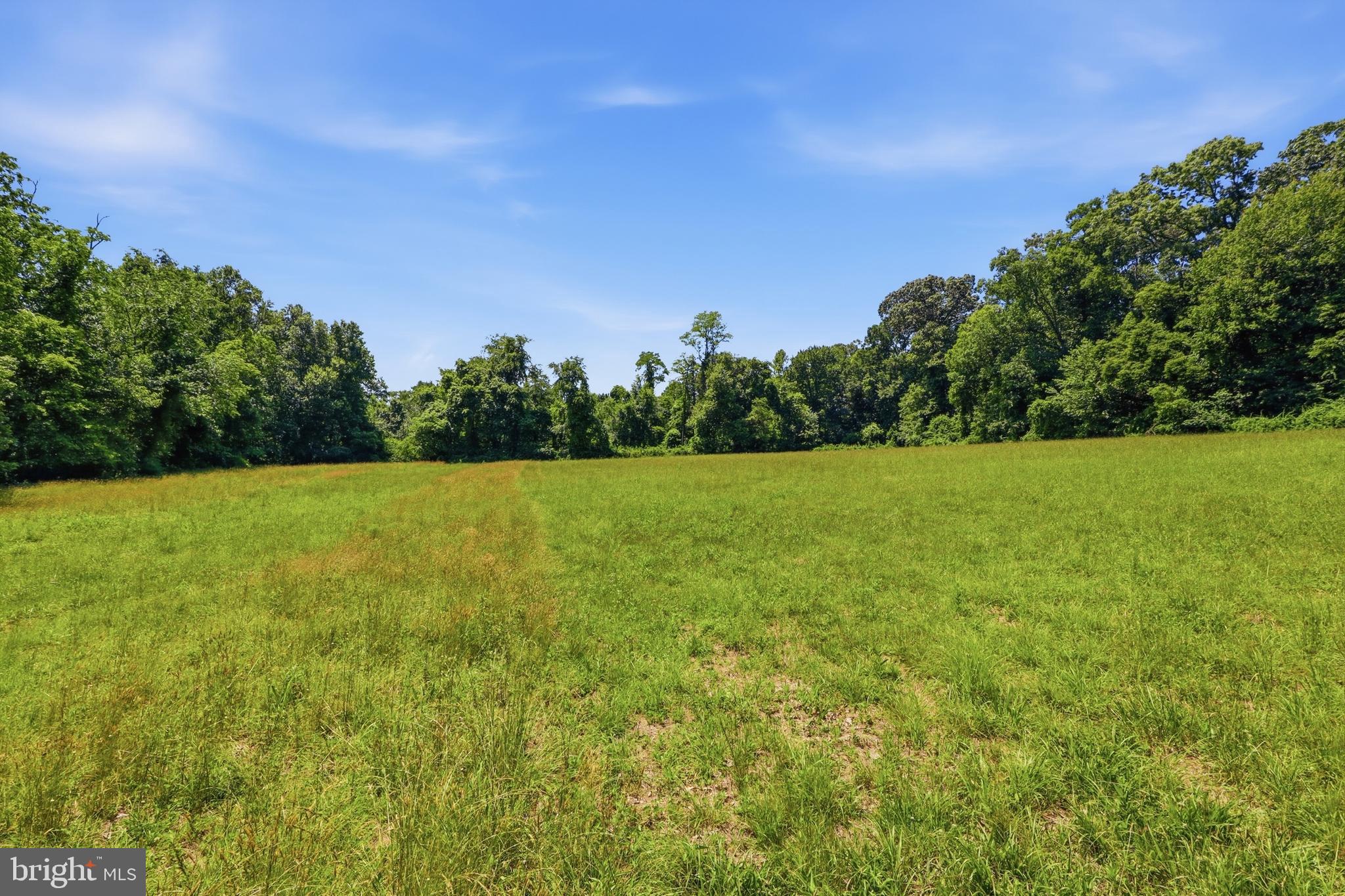 3555 Mill Green Road Street, MD 21154 - Photo 80 of 106
