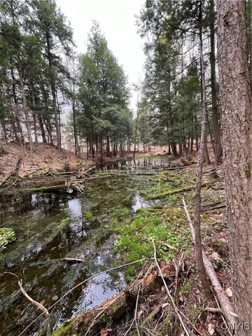 $135,000 | 58 Parksville Ny 13672, Potsdam, NY 13676