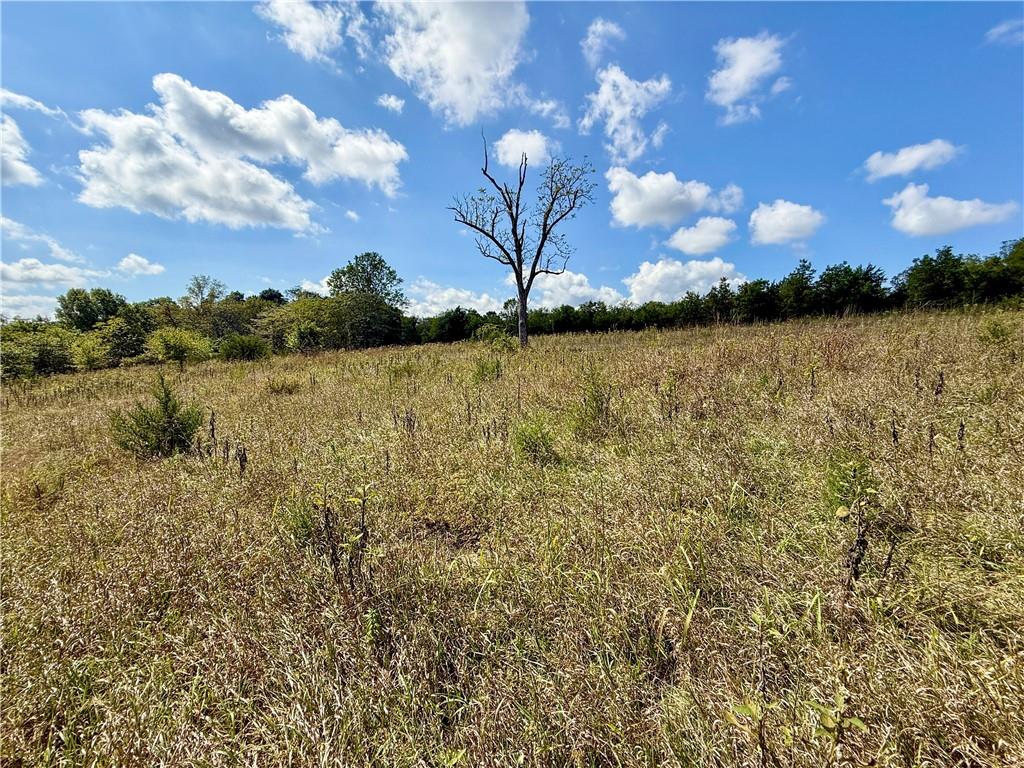 0 New Lancaster Road Lacygne, KS 66040 - Photo 11 of 32