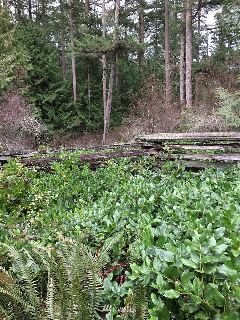 123 Biendl Road Shaw Island, WA 98286 - Photo 17 of 20 Gallery Image 17