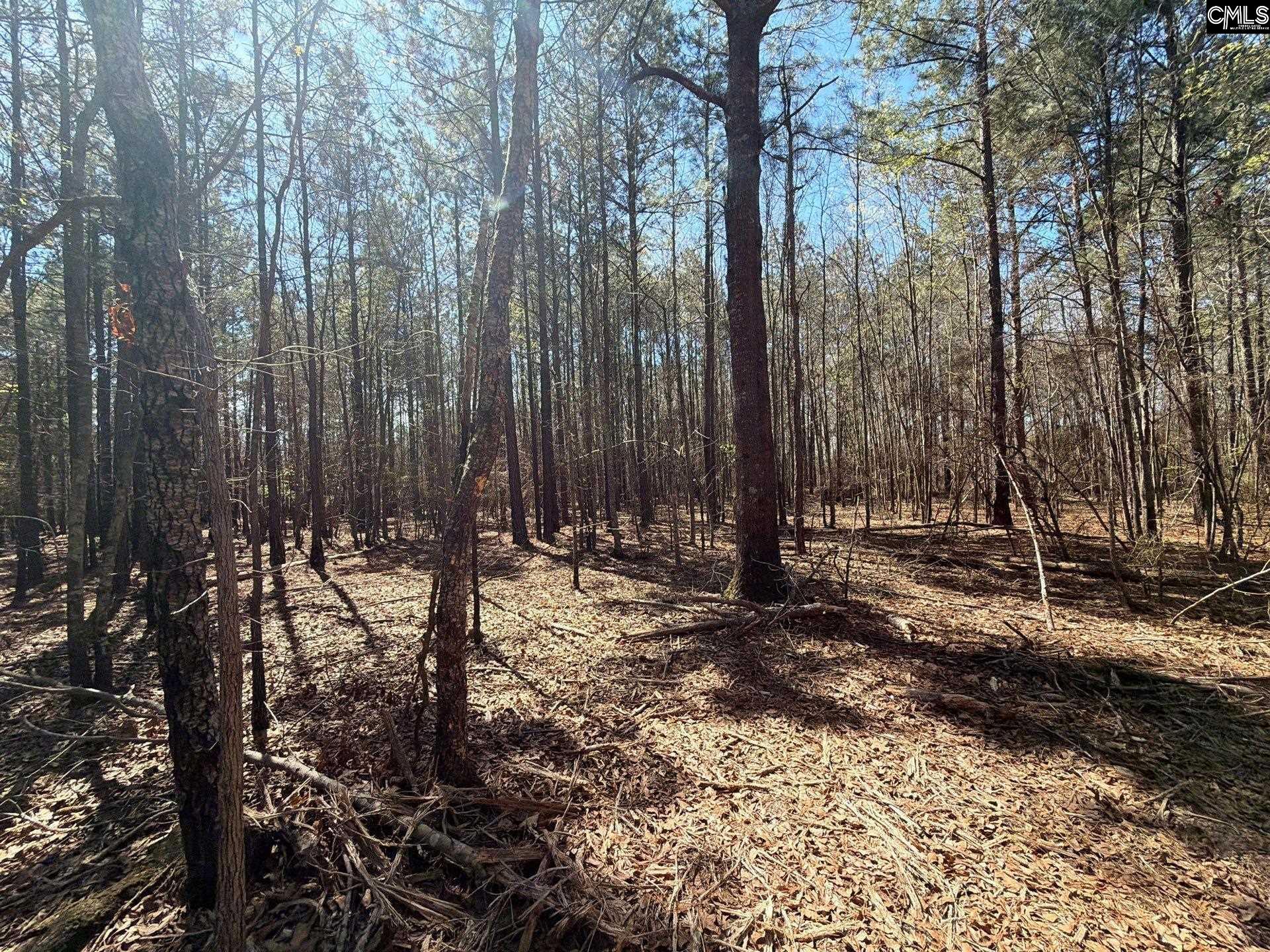11 Boise Cascade Road, Unit BHL 11 Bethune, SC 29009 - Photo 7 of 24