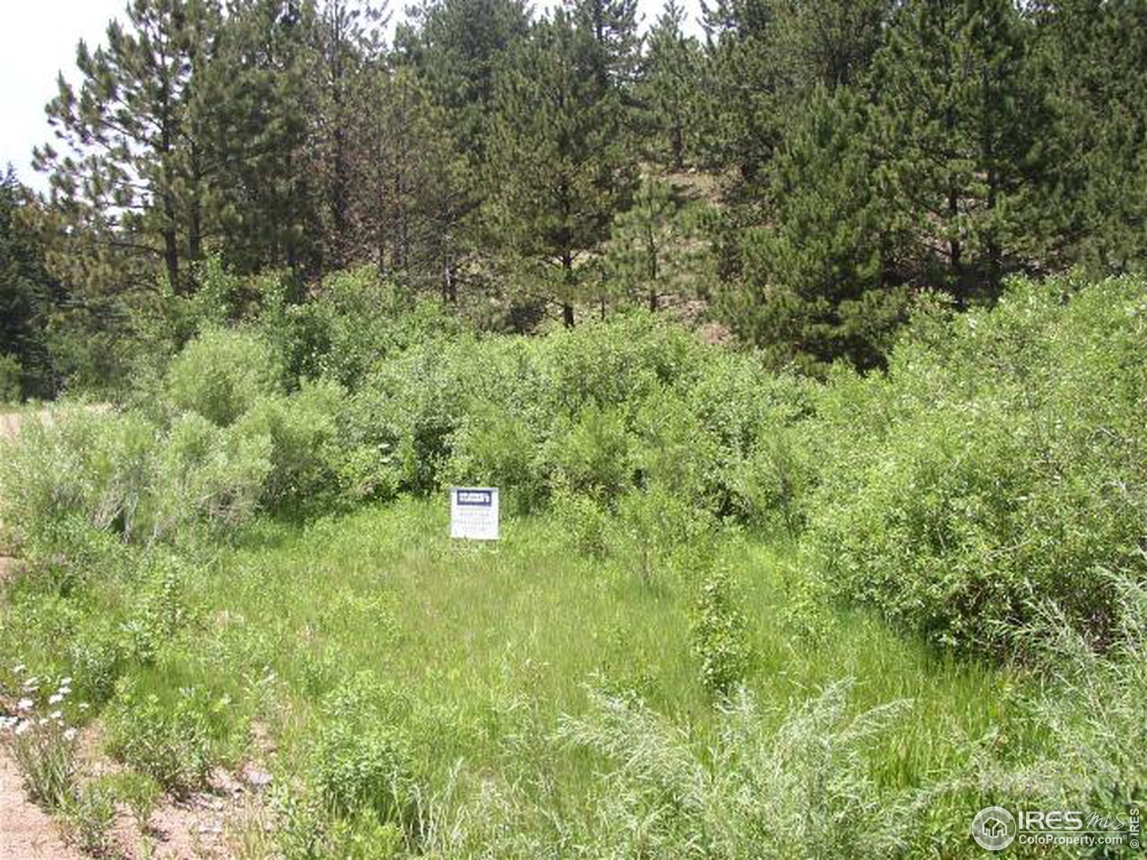 6500 Sugarloaf Road Boulder, CO 80302 - Photo 3 of 3 Gallery Image 3
