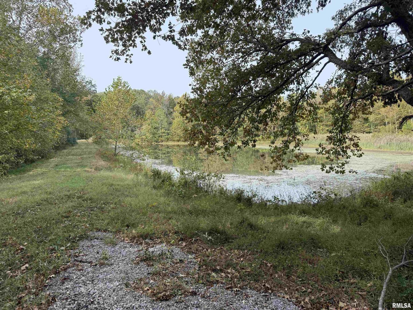 0 North Shawnee Hills Road Equality, IL 62934 - Photo 13 of 22 a view of a yard with a tree