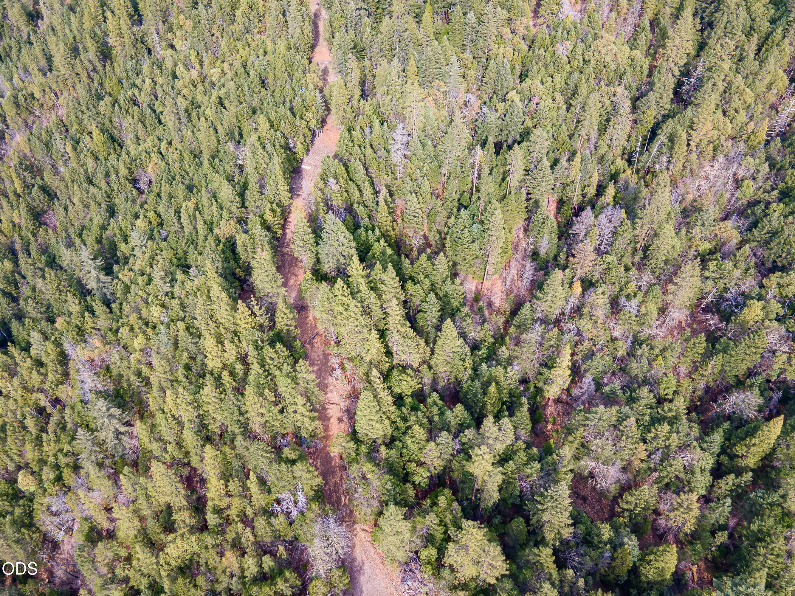 Pleasant Cr Road Rogue River, OR 97537 - Photo 16 of 42